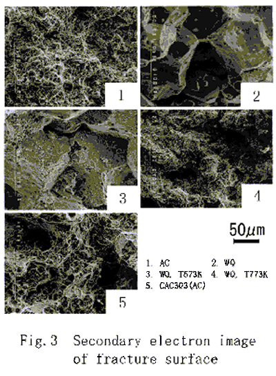 fig5.gif